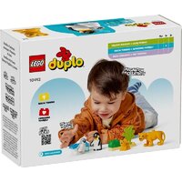 LEGO Duplo Семейства диких животных: Пингвины и Львы 10442