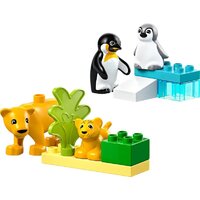 LEGO Duplo Семейства диких животных: Пингвины и Львы 10442 Image #2
