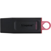 Kingston Exodia 256GB
