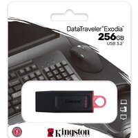 Kingston Exodia 256GB Image #6